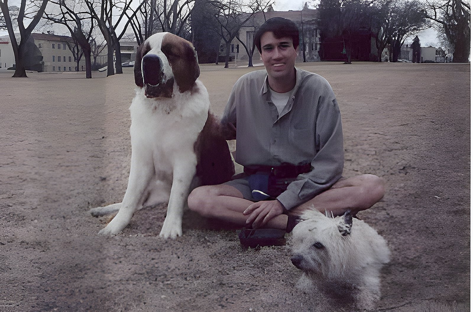 Tom with the dogs