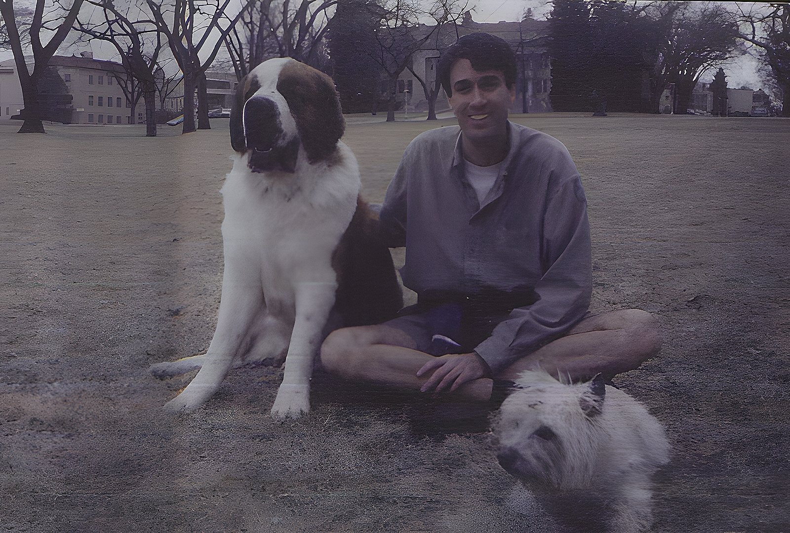Tom and the dogs